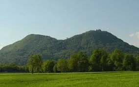 Novi podatki za Naravovarstveno soglasje